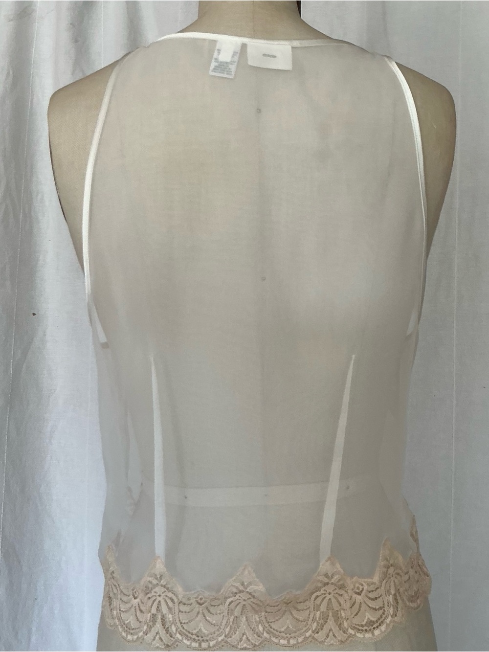 Frederick's of Hollywood Sheer Chemise with Lace Trim in Nude/White - Picture 3 of 8